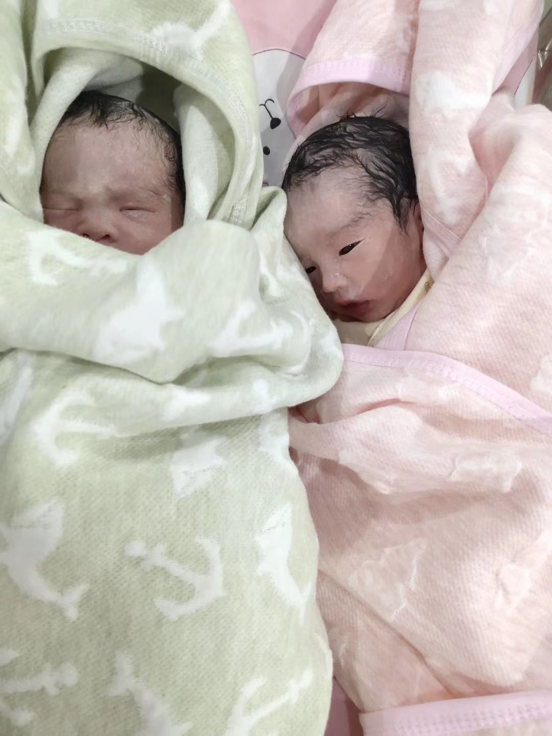 广州助孕让失独夫妻产下龙凤胎重拾生活的希望